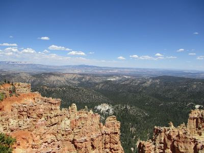 IMG_0117.jpg