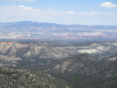 IMG_0118.jpg