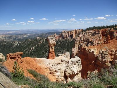 IMG_0124.jpg