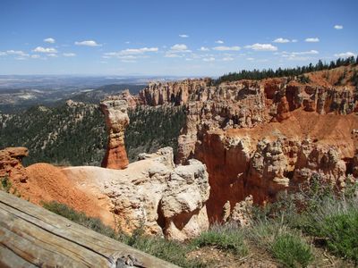 IMG_0125.jpg
