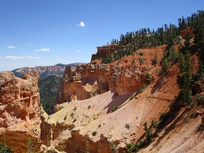IMG_0132.jpg