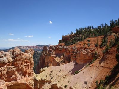 IMG_0137.jpg