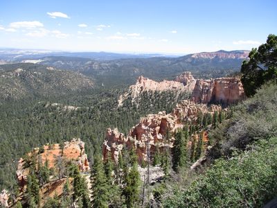 IMG_0140.jpg