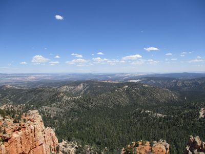 IMG_0143.jpg