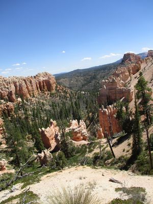 IMG_0149.jpg