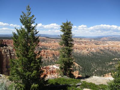 IMG_0152.jpg