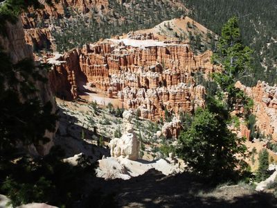 IMG_0156.jpg