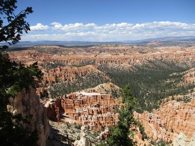 IMG_0160.jpg