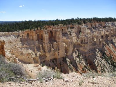 IMG_0162.jpg