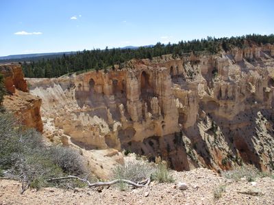 IMG_0163.jpg