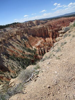 IMG_0165.jpg