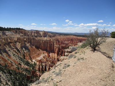 IMG_0166.jpg