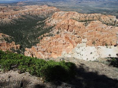 IMG_0167.jpg