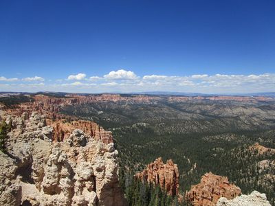 IMG_1170.jpg