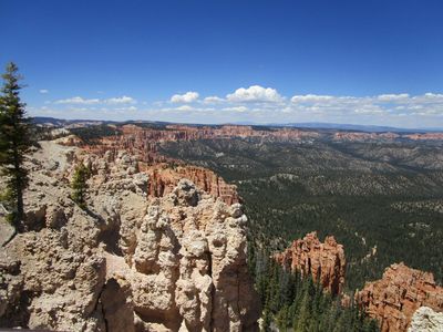 IMG_1171.jpg