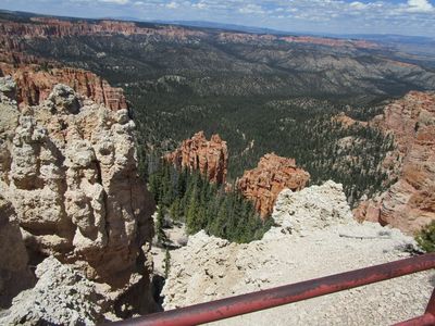 IMG_1172.jpg