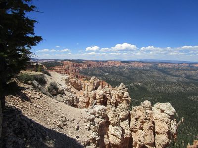 IMG_1176.jpg