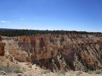 IMG_1196.jpg
