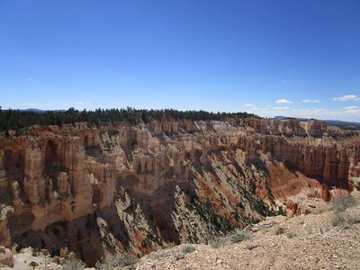 IMG_1197.jpg