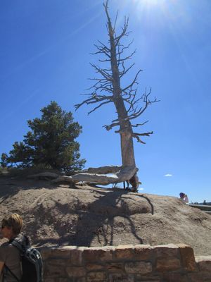 IMG_1200.jpg