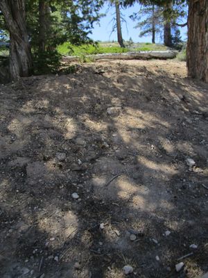 IMG_1201.jpg