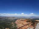 IMG_1173.jpg