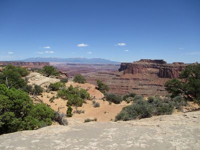IMG_0510.jpg