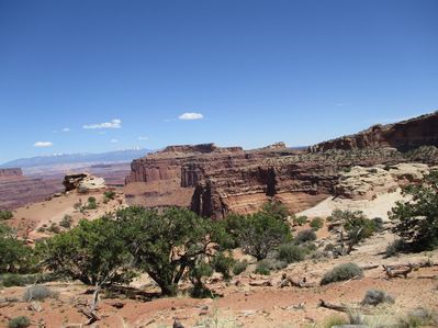 IMG_0515.jpg