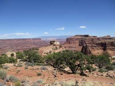 IMG_0516.jpg
