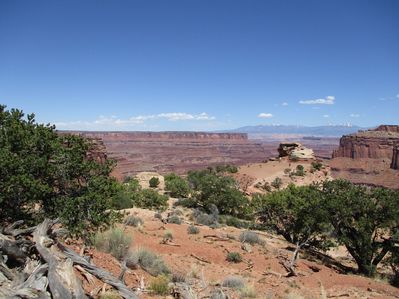 IMG_0517.jpg