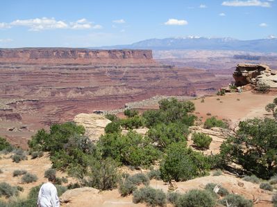 IMG_0520.jpg