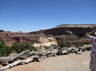 IMG_0521.jpg