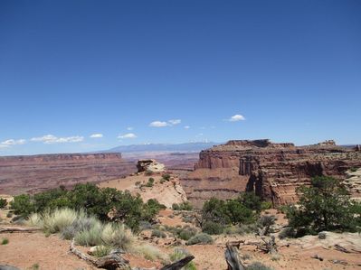 IMG_0525.jpg