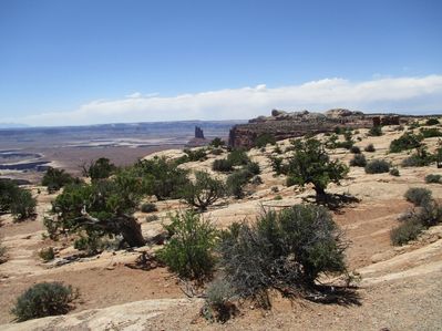 IMG_0526.jpg