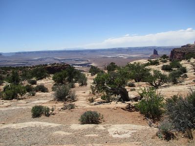 IMG_0527.jpg