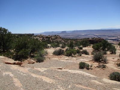 IMG_0529.jpg