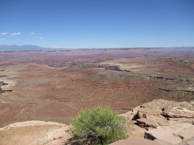 IMG_0537.jpg