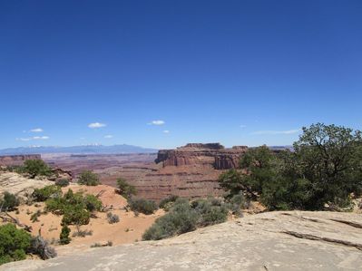 IMG_1413.jpg
