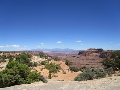 IMG_1414.jpg