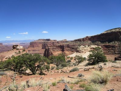 IMG_1415.jpg