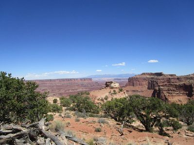 IMG_1417.jpg