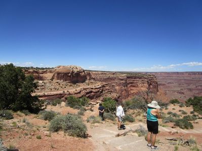 IMG_1419.jpg