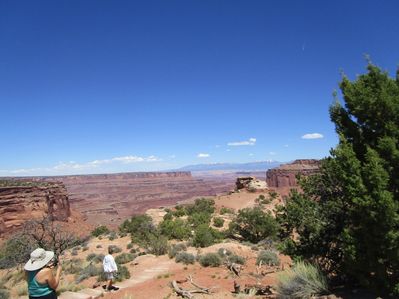 IMG_1420.jpg