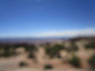 IMG_1423.jpg