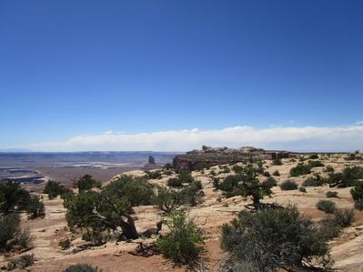 IMG_1424.jpg