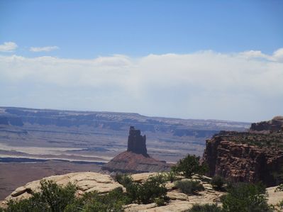 IMG_1425.jpg