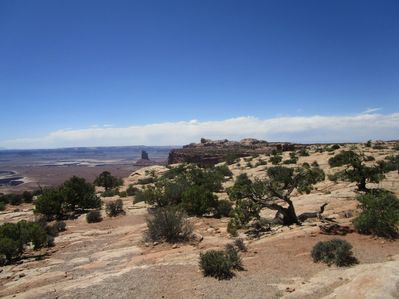 IMG_1431.jpg