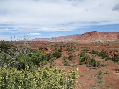 IMG_0214.jpg