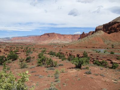 IMG_0215.jpg