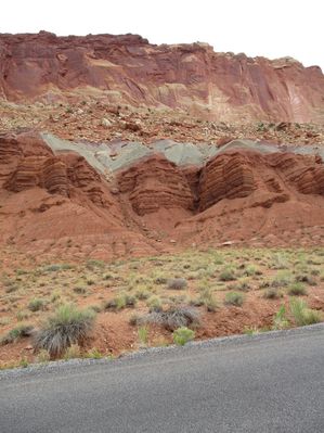IMG_0229.jpg